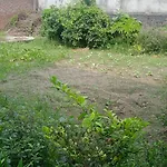Malti Vatika