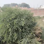 Shri Ram Lala Guest House Ayodhya