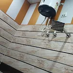 Maa Sharda Guest House