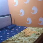 Ap Payingguest