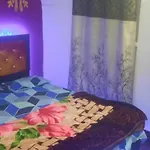 Ap Payingguest