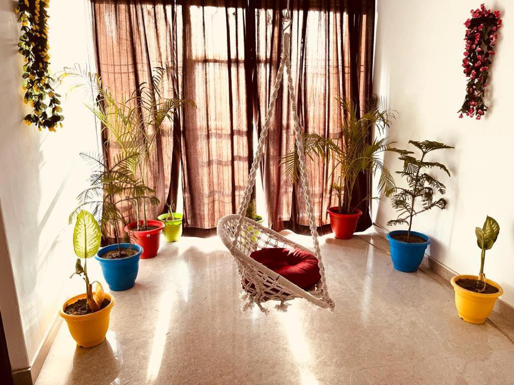Homestay Ashok Aashram