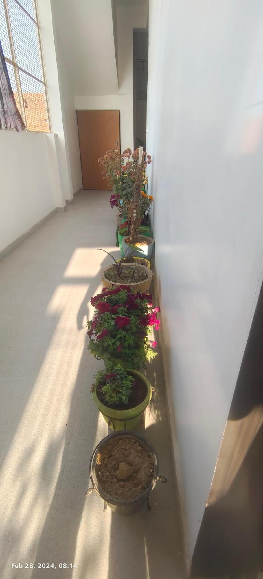 Homestay Gayatri *