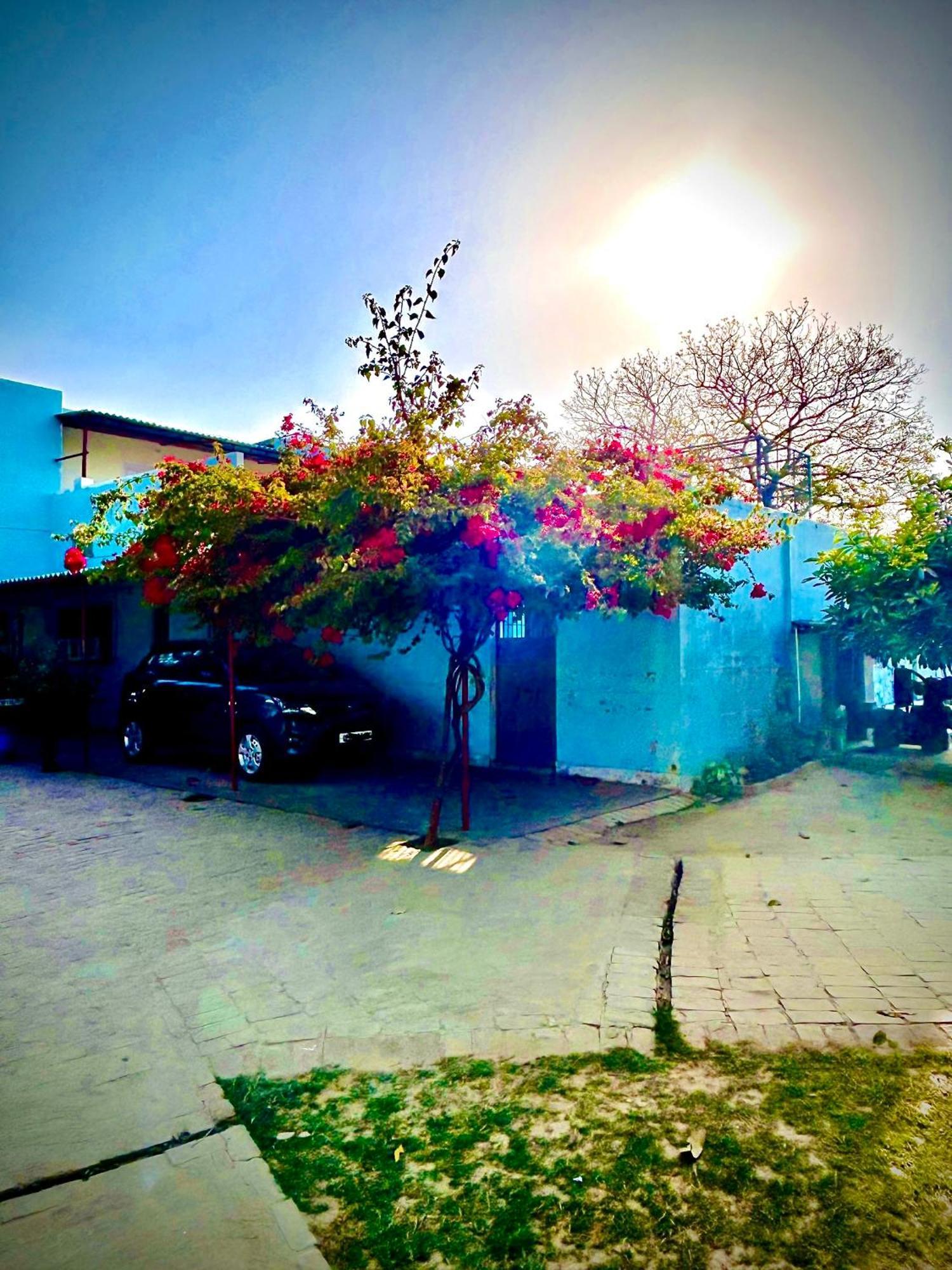 Gooseberry Garden Villa *