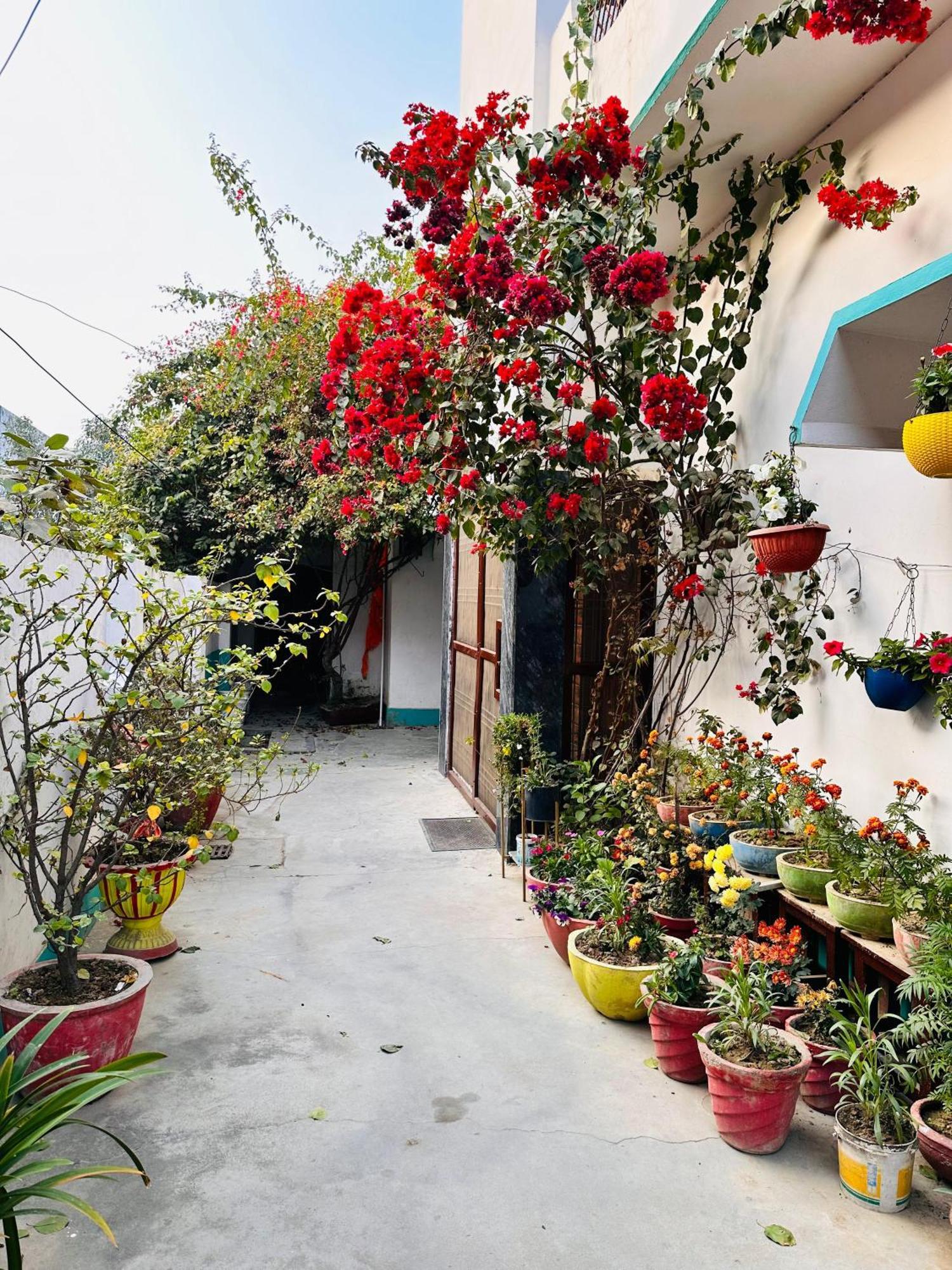 Shanti Vatika
