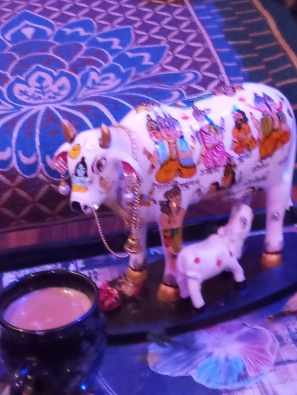 Homestay Atithi And Cloud Kitchen Ayodhya