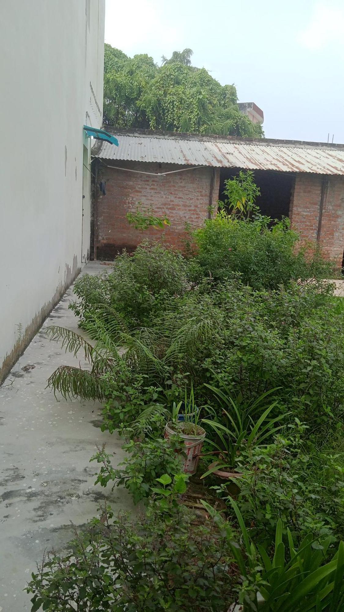 Homestay Malti Vatika *