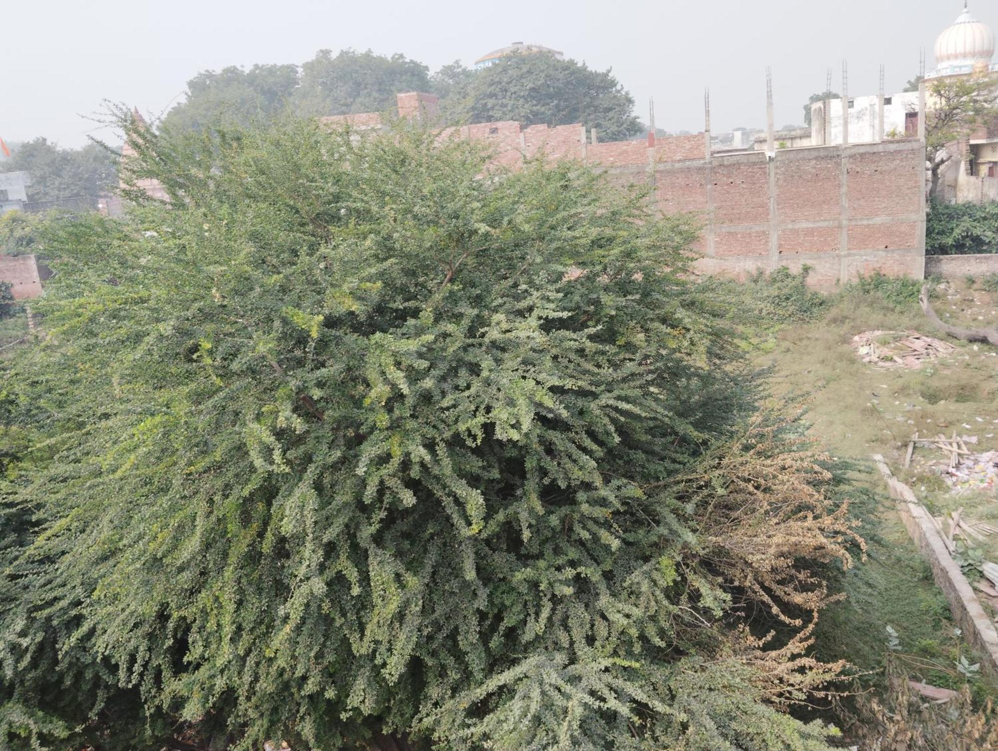 Guest house Shri Ram Lala