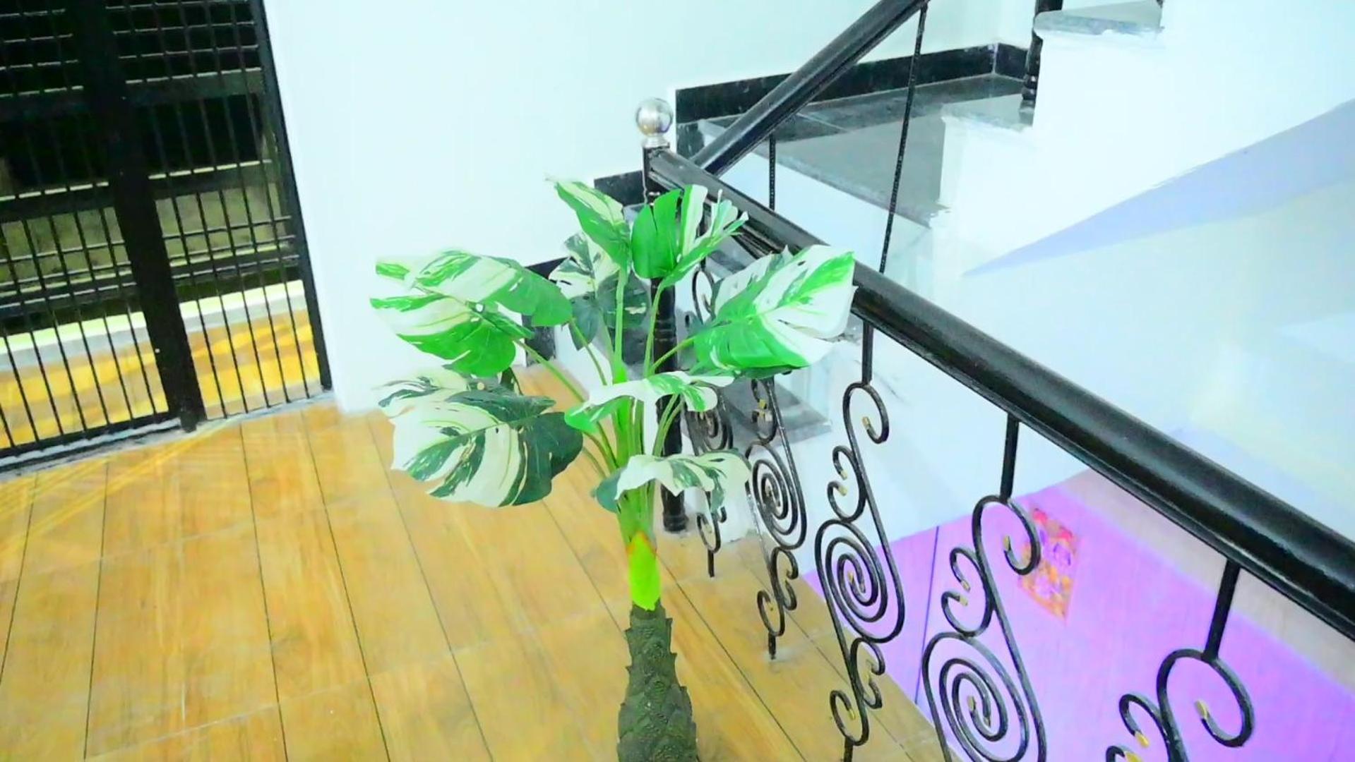 Shraddha A Luxury In Guest house Ayodhya