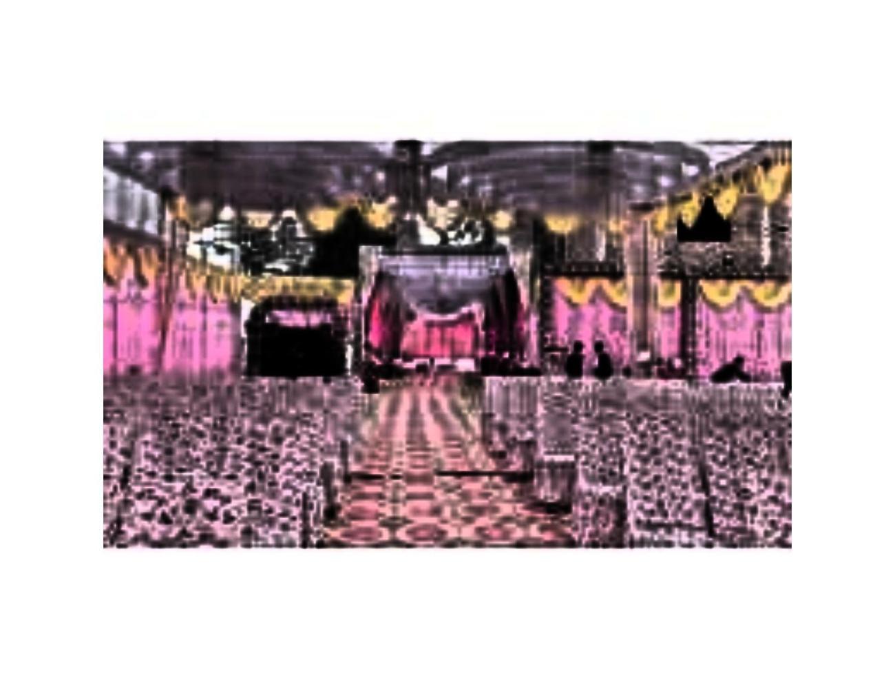 Hotel The S R Palace And Marriage Lawn,ayodhya