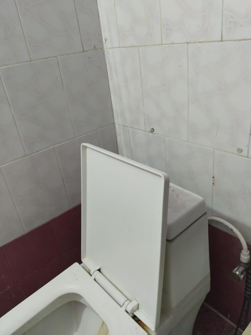 Diamond Palace Homestay *