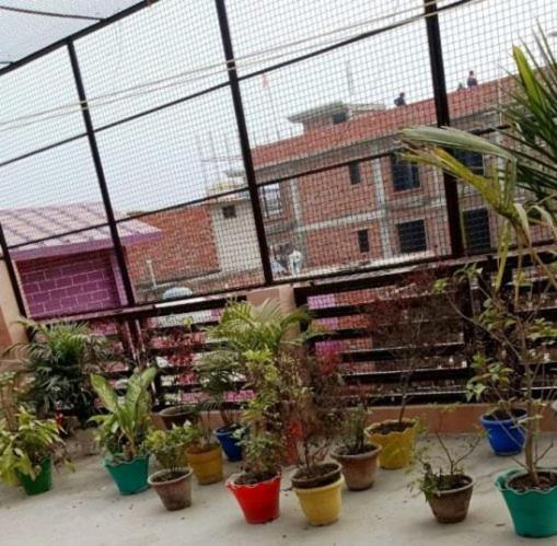 Malti 5 Minute Walking Distance Fromayodhya Dhamrailway Station Homestay *
