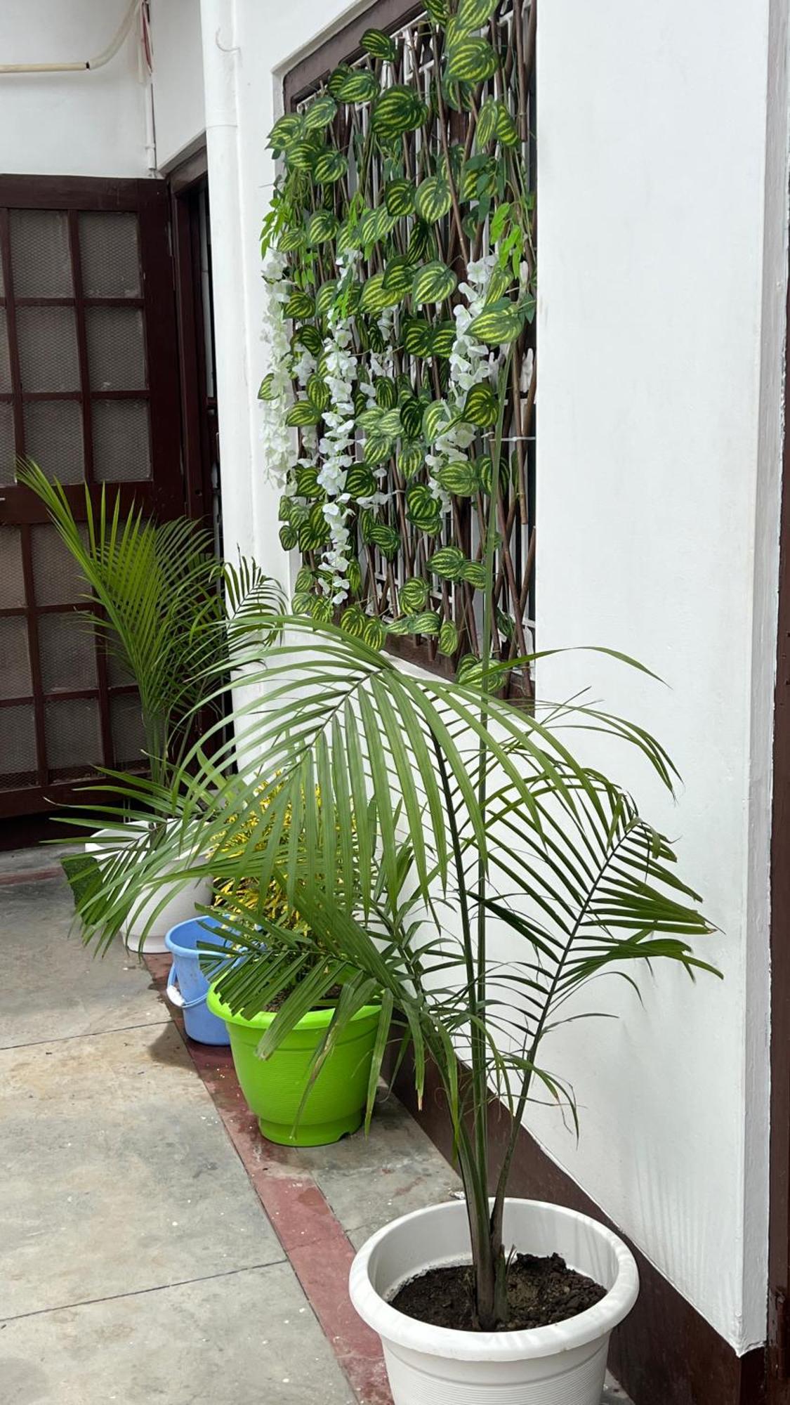 Homestay Kanak Bihari G *
